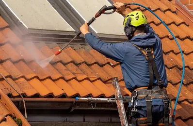 Démoussage et hydrofuge de toiture à la Burbanche